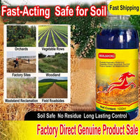 Glufosinate Ammonium 10% SL Herbicide, Fast-Acting Broad Spectrum Weed Killer for Farms & Agricultural Land