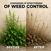 Glyphosate Herbicide Concentrate for Effective Weed Control  Systemic Weed Killer for Agriculture, Garden & Land Care (Yellow)