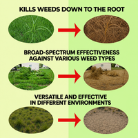Glyphosate 41% Concentrate – Herbicide for Vegetation Control & Land Maintenance