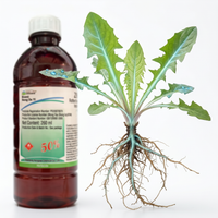 Glyphosate 50% Herbicide for Pre-Germination Weed Control | Systemic Weed Management for Field Crops