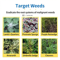 Glufosinate Ammonium 20% SL Herbicide, Fast-Acting Post-Emergence Weed Killer for Orchards, Fields & Non-Crop Land