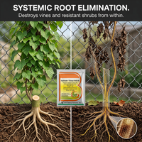 Glyphosate Trichloropyridinyl 60% Herbicide for Vine & Shrub Weed Control 100g | Systemic Weed Management