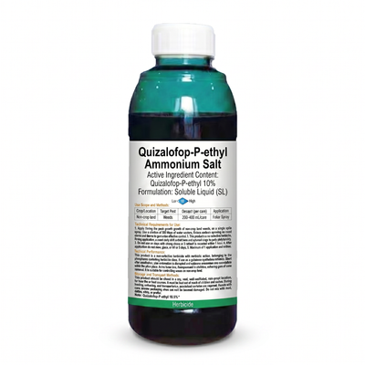 100 ml