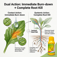 Nicosulfuron 20% + Atrazine 6% + Mesotrione 4% SC Herbicide, Selective Corn Field Weed Control