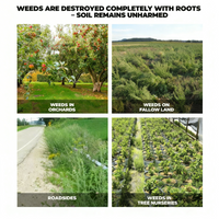 Glyphosate-based herbicide (41% concentrate) – For professional vegetation control