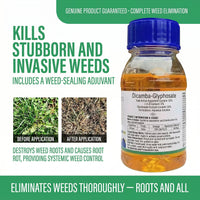 Dicamba 2% + Glyphosate 30% Herbicide for Broadleaf and Grass Weed Control in Agricultural Fields